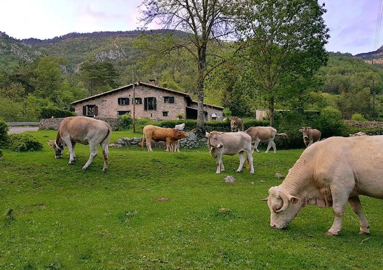 Hauzify I Apartament Bella Molina Alp Luaran gambar